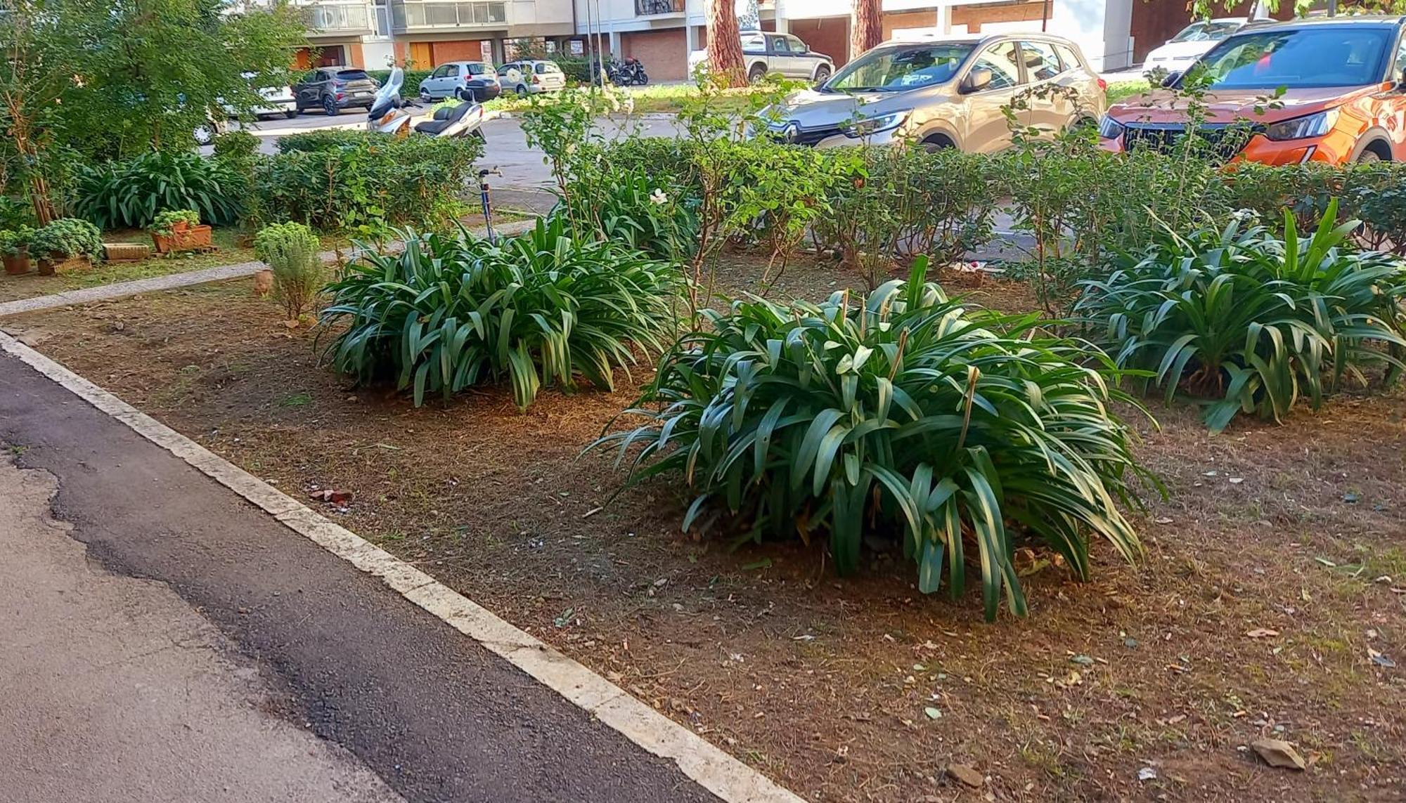 La Casa Di Barbanella Apartman Grosseto Kültér fotó
